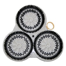 43699 Modulo pecari